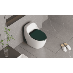 CẦU TRỨNG LIỀN KHỐI AQUA CERA TRẮNG NẮP XANH Mã SP 089-TX