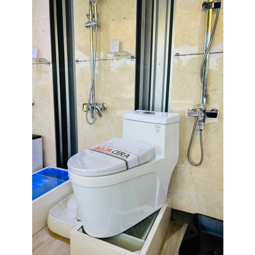 BỒN CẦU LIỀN KHỐI (Kích thước 700 x 390 x 655 mm) - F02
