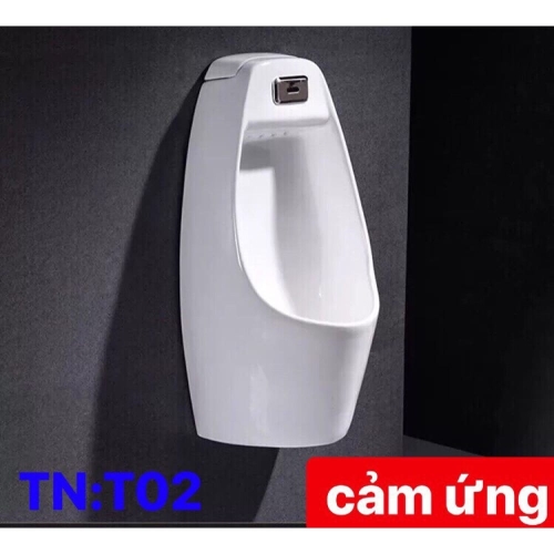 TIỂU NAM CẢM ỨNG - Mã SP T02