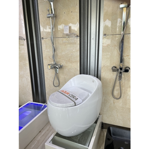 BỒN CẦU TRỨNG MÀU TRẮNG - T09
