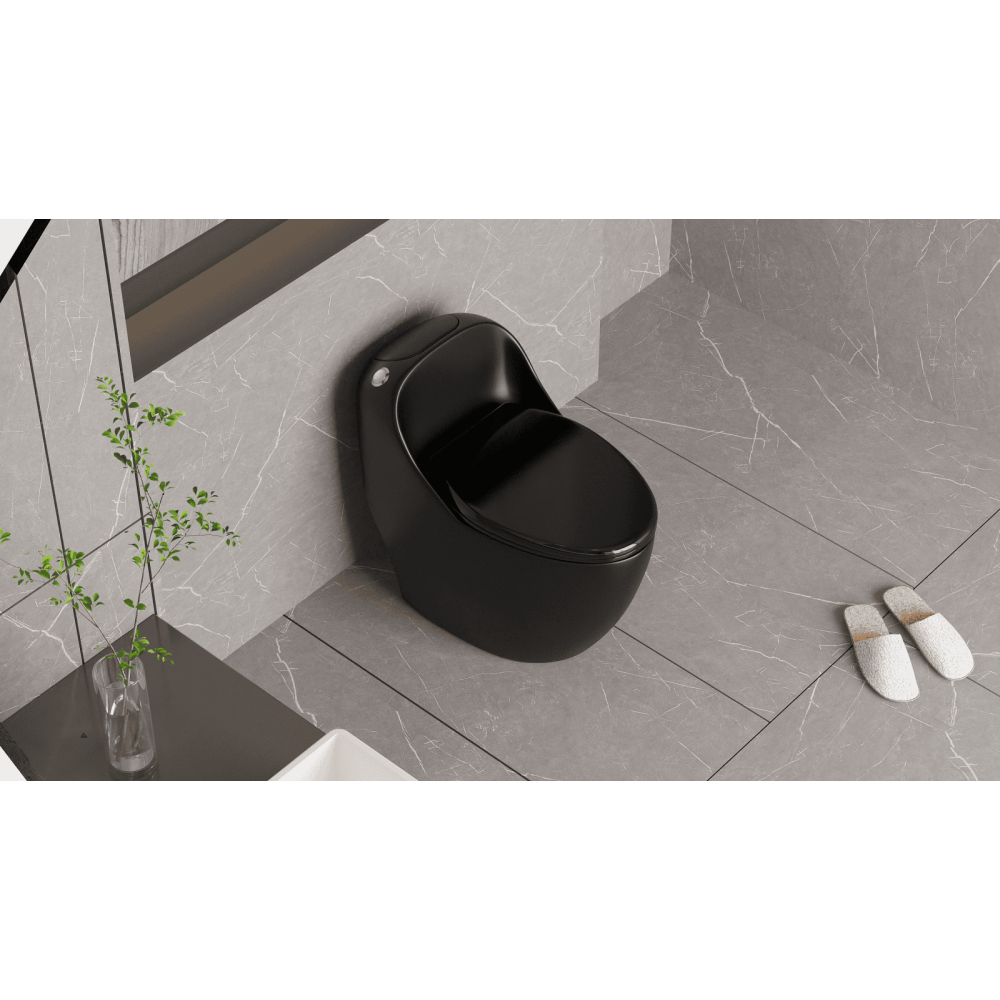 CẦU TRỨNG LIỀN KHỐI AQUA CERA MÀU ĐEN Mã SP 089-D