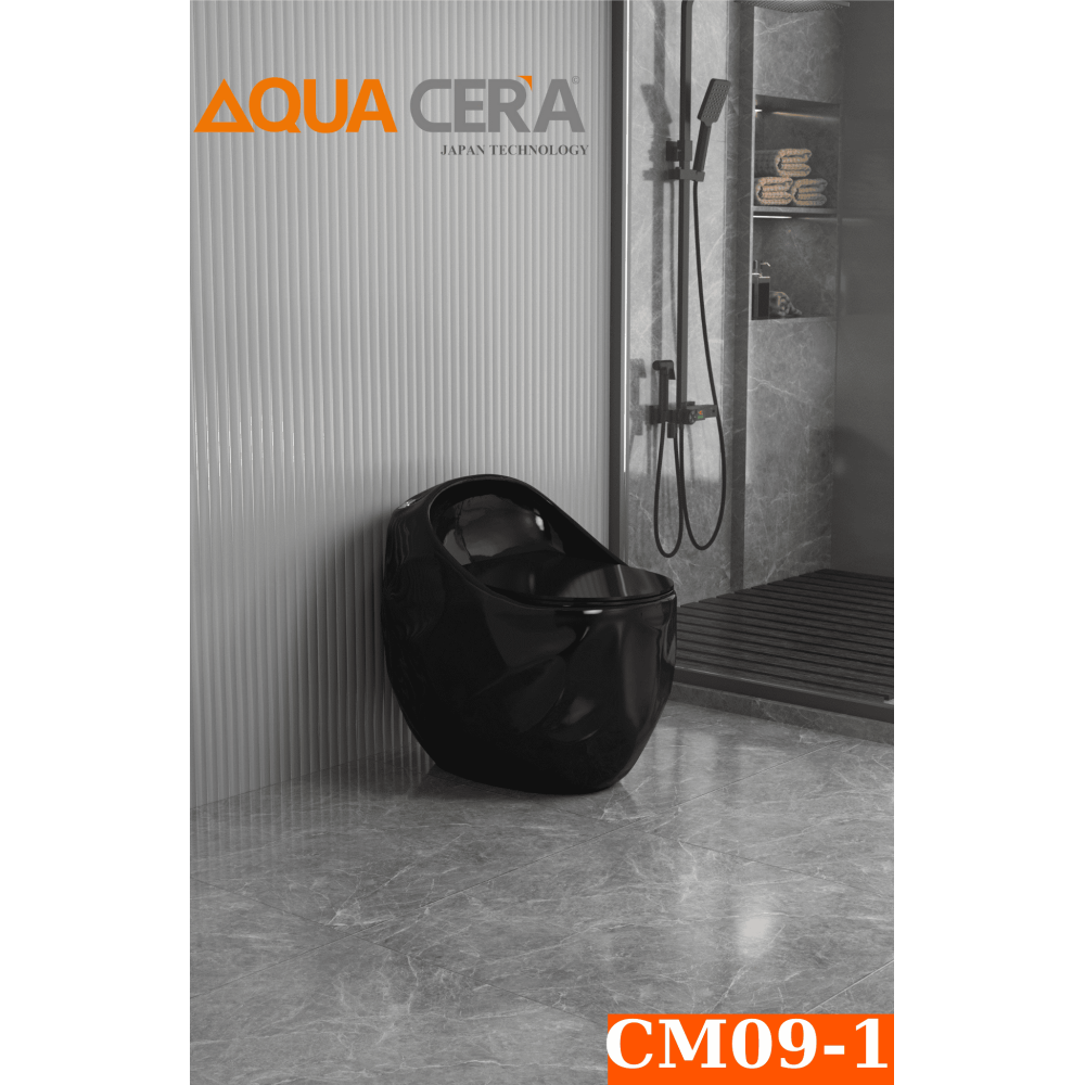 CẦU TRỨNG KIM CƯƠNG AQUA CERA MÀU ĐEN Mã SP CM09-1