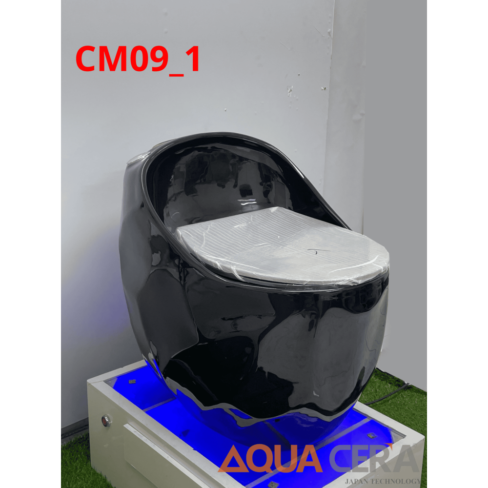 CẦU TRỨNG KIM CƯƠNG AQUA CERA MÀU ĐEN Mã SP CM09-1