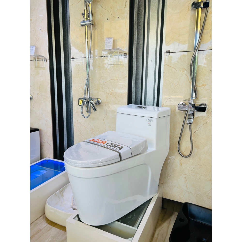 BỒN CẦU LIỀN KHỐI (Kích thước 700 x 390 x 655 mm) - F02