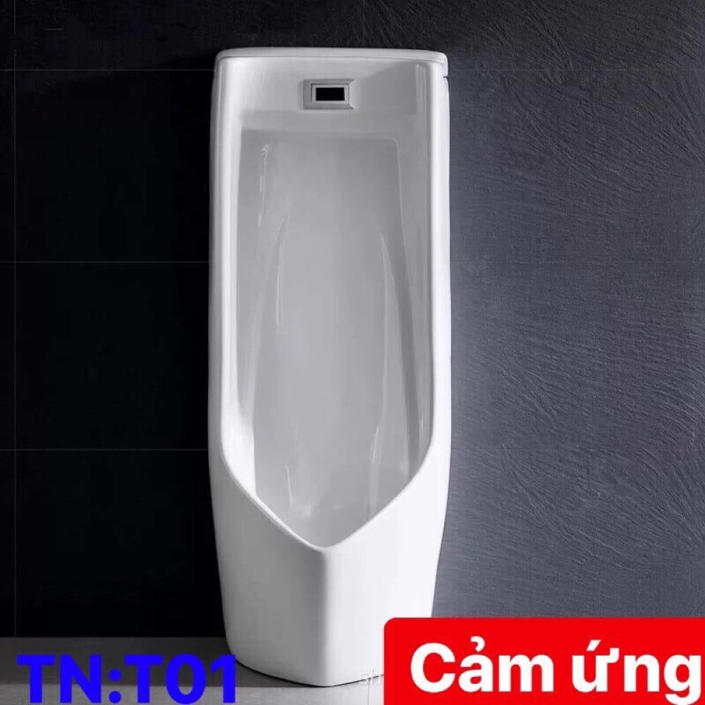 TIỂU NAM CẢM ỨNG - Mã SP T01