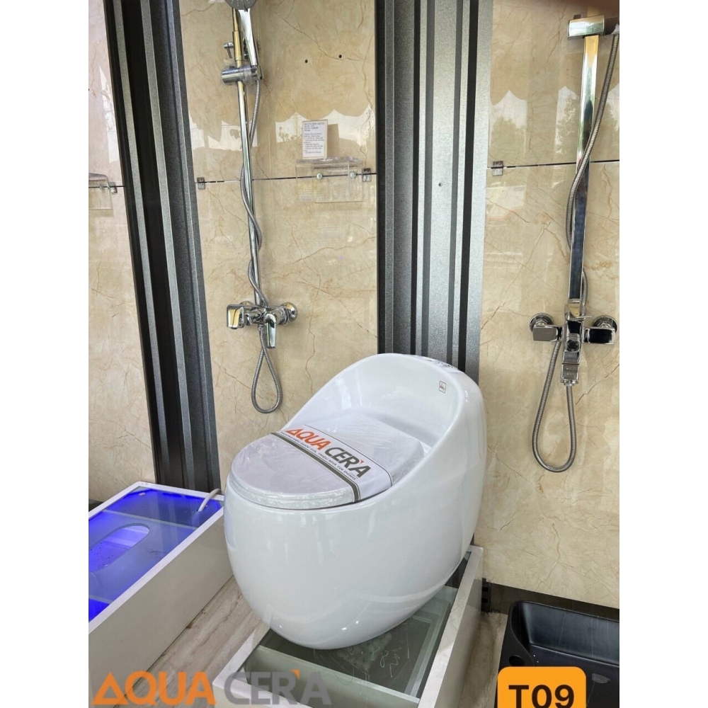 BỒN CẦU TRỨNG MÀU TRẮNG - T09