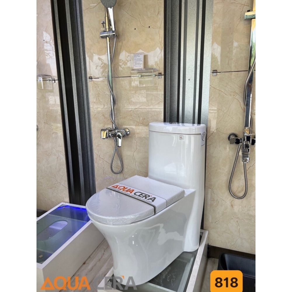 BỒN CẦU LIỀN KHỐI - 818