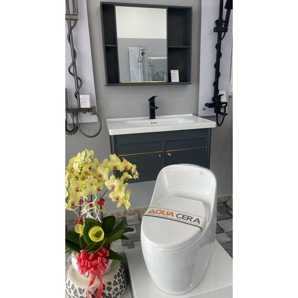 CẦU TRỨNG LIỀN KHỐI AQUA CERA MÀU TRẮNG Mã SP 089-T